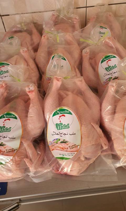 Poulet Halal