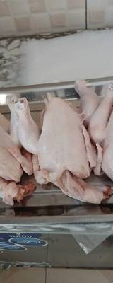 POULET Halal